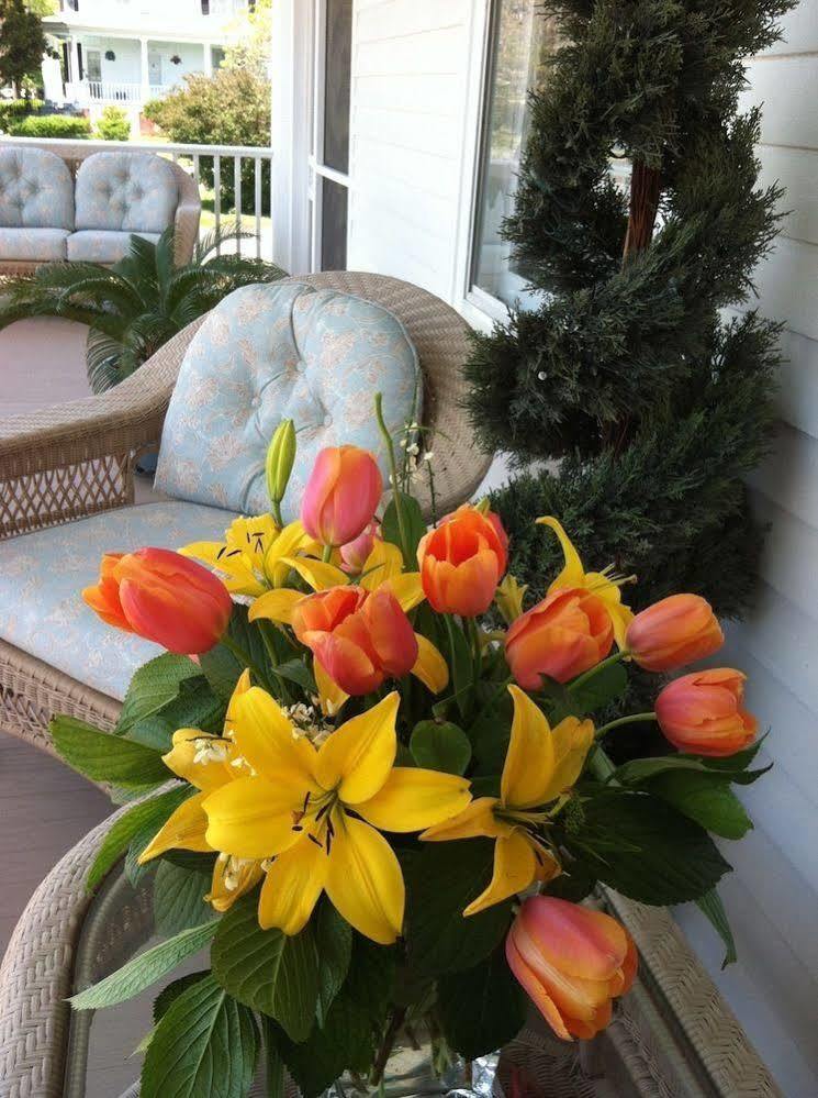 Bay Haven Inn Of เคปชาร์ลส์ ภายนอก รูปภาพ